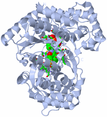 Image Biol. Unit 1 - sites