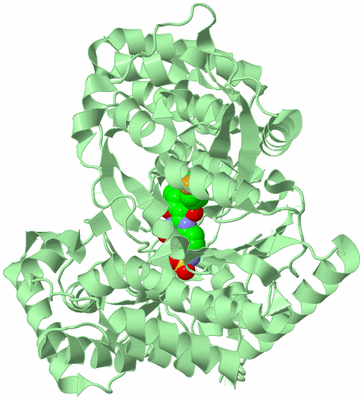 Image Biological Unit 2