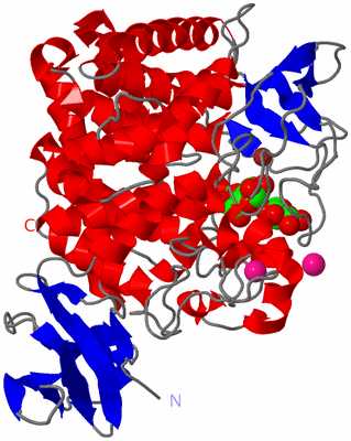 Image Asym./Biol. Unit