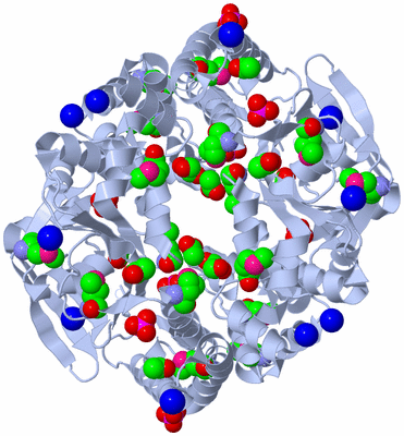 Image Biological Unit 1