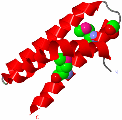 Image Asymmetric Unit