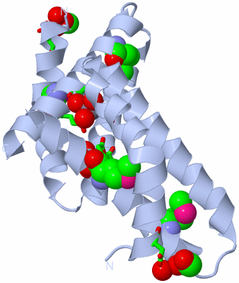 Image Biol. Unit 1 - sites