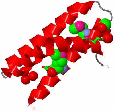 Image Asym. Unit - sites