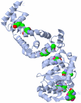 Image Biological Unit 2