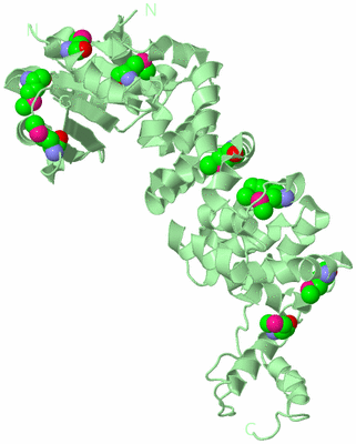 Image Biological Unit 3