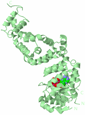 Image Biological Unit 3