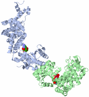 Image Biological Unit 1