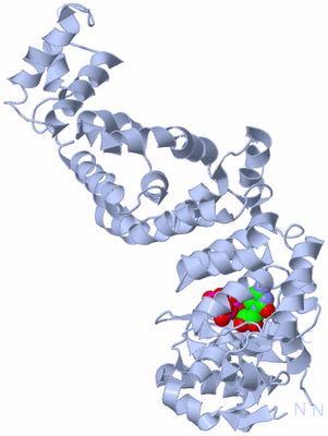 Image Biological Unit 2