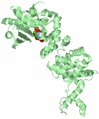 Image Biological Unit 3