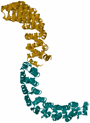 Image Asymmetric Unit