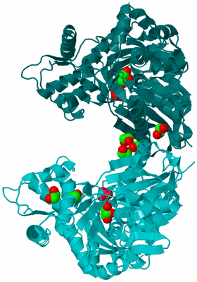 Image Biological Unit 1