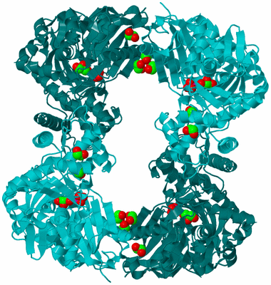 Image Biological Unit 2