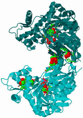 Image Asym. Unit - sites