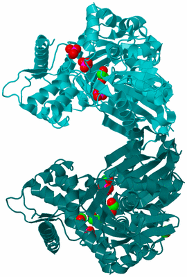 Image Biological Unit 1