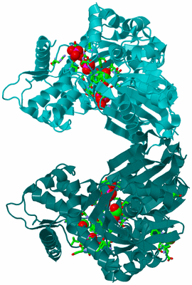 Image Biol. Unit 1 - sites