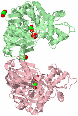 Image Biological Unit 2