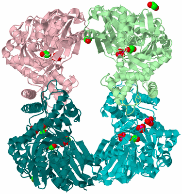 Image Biological Unit 3