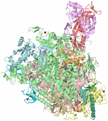 Image Asym./Biol. Unit