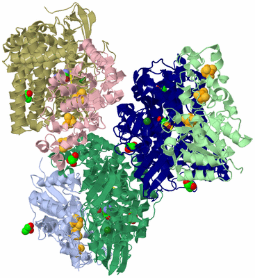 Image Asymmetric Unit