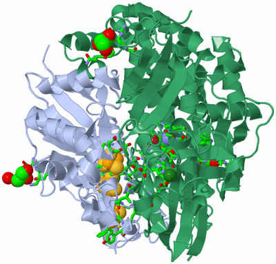 Image Biol. Unit 1 - sites