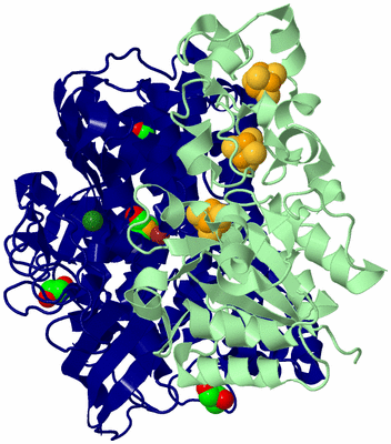Image Biological Unit 2