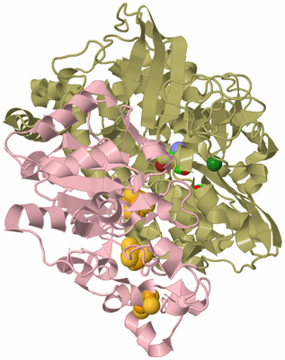Image Biological Unit 3