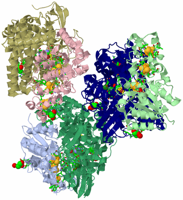Image Asym. Unit - sites