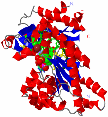 Image Asym./Biol. Unit