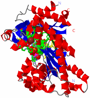 Image Asym./Biol. Unit - sites