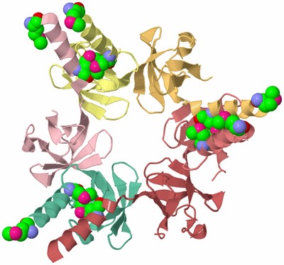 Image Biological Unit 2