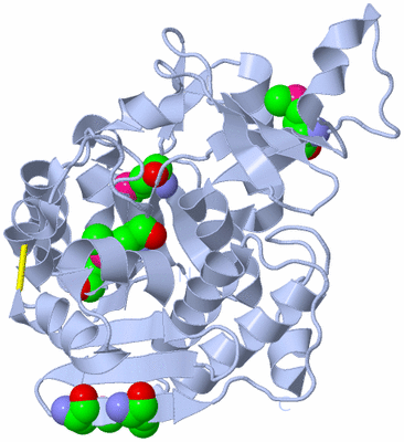 Image Biological Unit 1