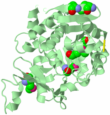 Image Biological Unit 2