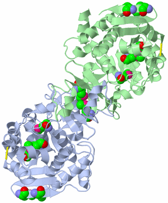 Image Biological Unit 3