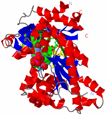 Image Asym./Biol. Unit