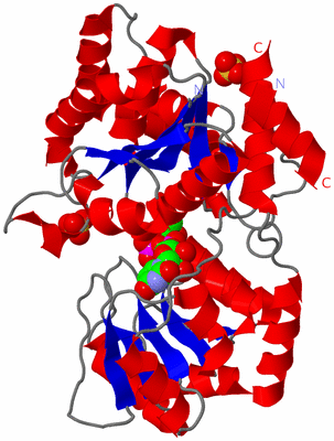 Image Asym./Biol. Unit