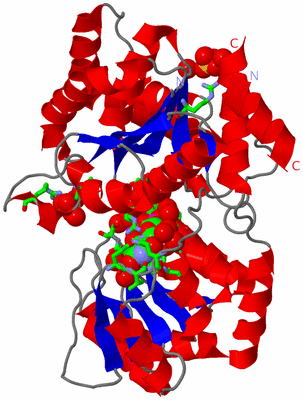 Image Asym./Biol. Unit - sites