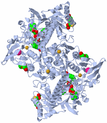 Image Biological Unit 1