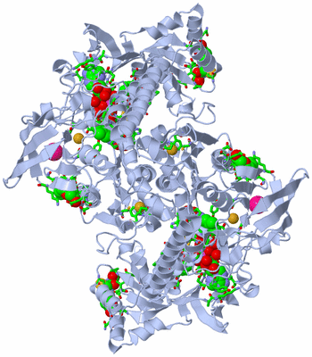 Image Biol. Unit 1 - sites