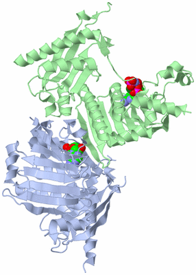 Image Biological Unit 1