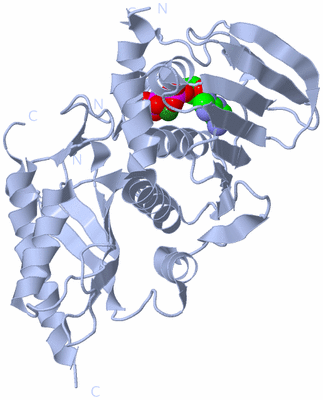 Image Biological Unit 2