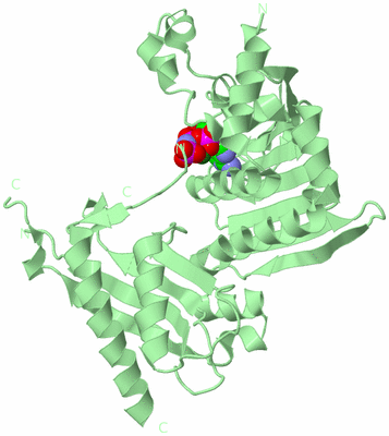 Image Biological Unit 3