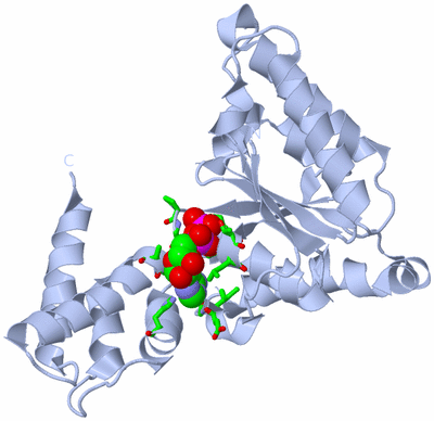 Image Biol. Unit 1 - sites