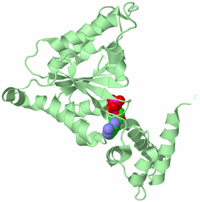 Image Biological Unit 2