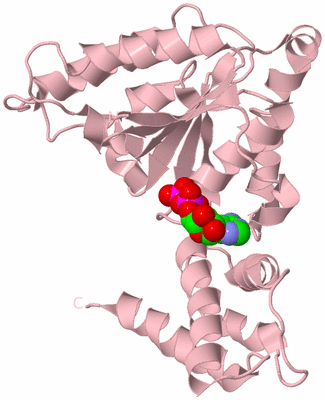 Image Biological Unit 3