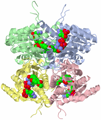 Image Biological Unit 1