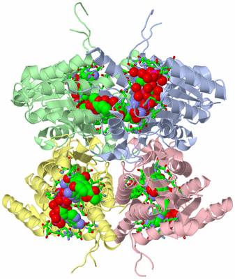 Image Biol. Unit 1 - sites