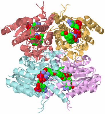 Image Biological Unit 2