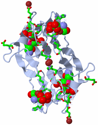 Image Biol. Unit 1 - sites