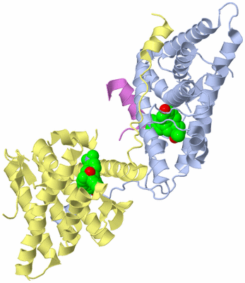 Image Biological Unit 1