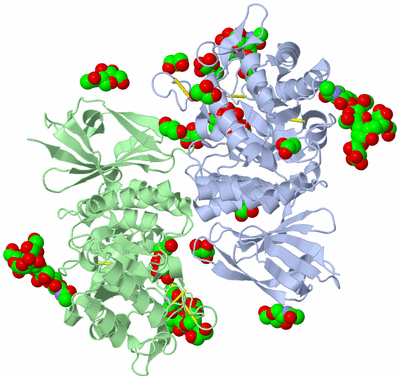 Image Asym./Biol. Unit